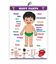 Body parts Chart - Early Learning Educational Chart