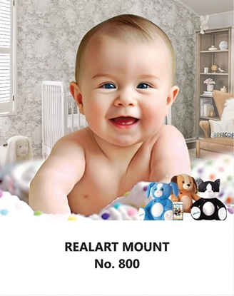 R800 Baby Daily Calendar Online Printing 2025 