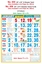 R656 Tamil (F&B) Monthly Calendar  Online Print  2025
